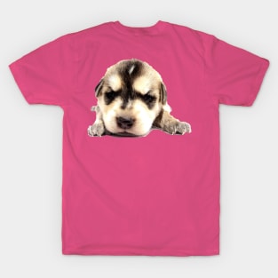 Puppy T-Shirt